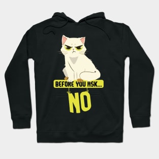 Before You Ask No Cat Mature Content Hoodie